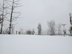 -葛仙湖公园