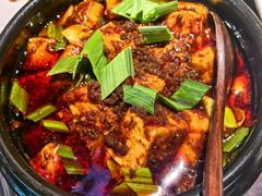 -陈麻婆豆腐(旗舰店)