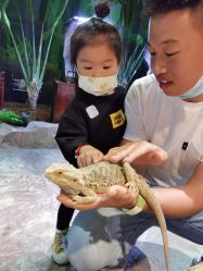 -酷嗒动物文化乐园(cutezoo西溪乐天城店)