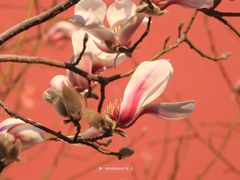 -东华门大街小区