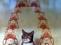 -金伯利街美食夜市