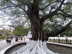 -江心屿景区