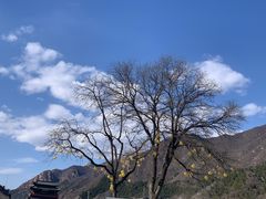 -居庸关长城