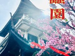 -无锡蠡湖国家湿地公园-蠡园
