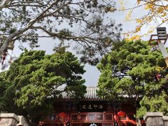 -湛山寺