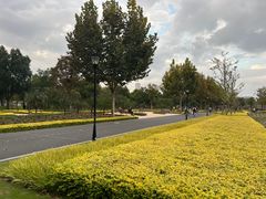 -上海山野camping·户外天幕烧烤·团建拓展营地