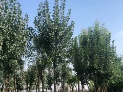 -东疆建设开发纪念公园