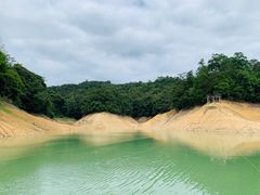 -广州市流溪河国家森林公园