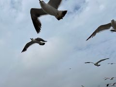 -星海广场