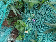 -南昌之星游乐场