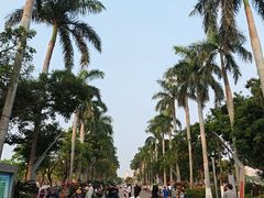 -万绿园