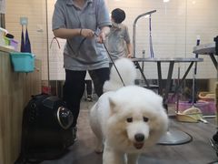 -PETKIT小佩宠物(古北店)