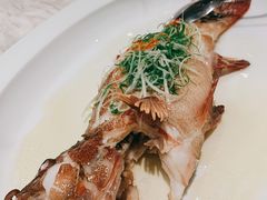 -伯衡55·吉品轩(乌鲁木齐南路店)