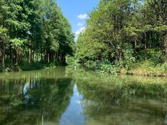 -西溪国家湿地公园