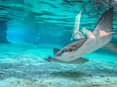 -新加坡水上探险乐园