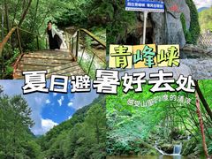 -青峰峡国家森林公园