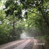 南京人很有福这个城市，有山有水