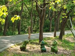-同里国家湿地公园