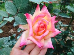 -人民公园(罗湖区)