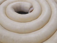 蛋菇汤-芝城故事·建瓯土菜