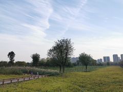 -汉长安城未央宫国家考古遗址公园