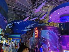 -烟台海昌鲸鲨海洋公园