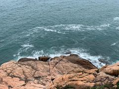 -广东惠东海龟国家级自然保护区