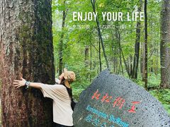 -五营红松林海景区