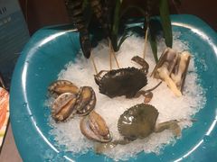 -小天鹅戴斯酒店鲸鲨百汇创作料理
