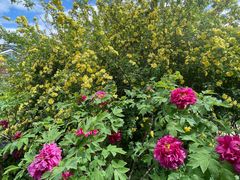 -国家植物园南园