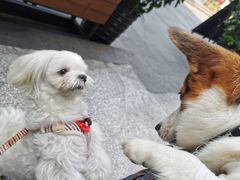 -COMMUNE幻师(五角场店)