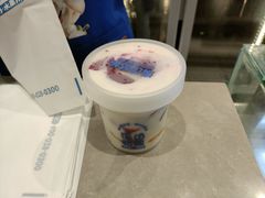 -溪边姑娘·拉丝酸奶水果捞(春熙路店)