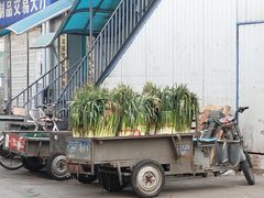 -岳各庄批发市场(西四环中路店)