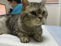 -美联众合动物医院·24h转诊中心