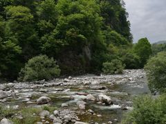 -黑河国家森林公园