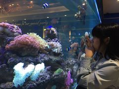 -超级厨房概念餐厅(奥园广场店)