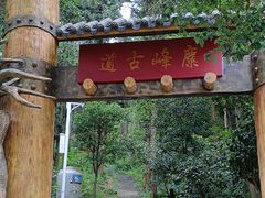 -长沙黑麋峰国家森林公园