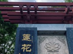 -莲花池公园