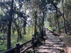-冶父山国家森林公园