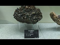 -甘肃地质博物馆