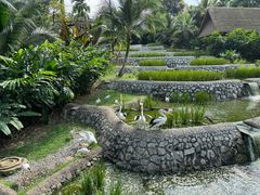 -新加坡飞禽公园