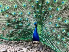 -藏龙百瀑风景区