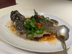 -利苑酒家(华熙国际店)