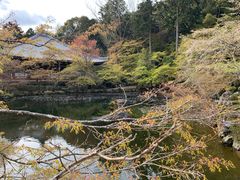 -醍醐寺