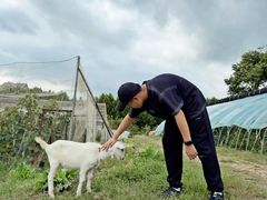 -大连北马山庄