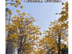 -洲头咀公园