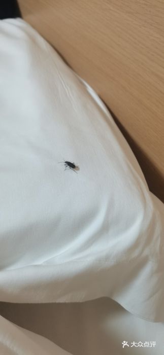 7天酒店·北京学院路六道口地铁站店图片