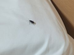 -7天酒店·北京学院路六道口地铁站店