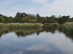 -前关湿地公园