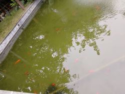 -莲生母婴月子中心(清水河公园店)